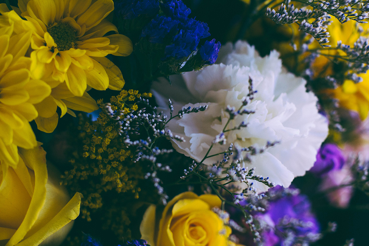 A gathering of purple, yellow and white flowers